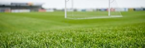 natural grass turf sports field