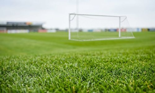 natural grass turf sports field