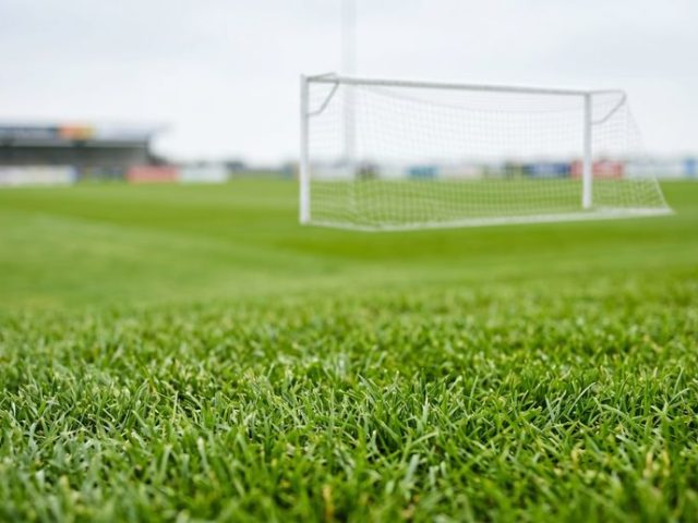 Natural Grass or Synthetic Turf? Design Considerations Beyond Maintenance