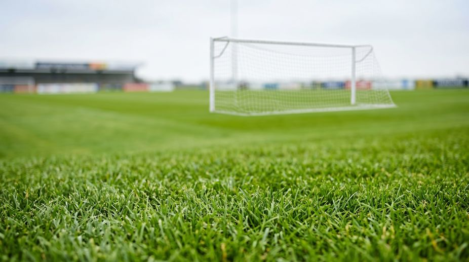 natural grass turf sports field
